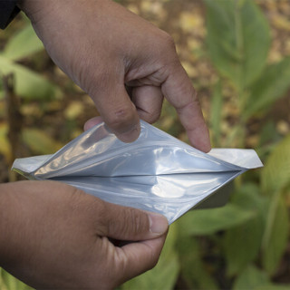 溶智 磷酸二氢钾通用型肥料 生根开花保果 花肥 水溶肥 叶面肥 钾肥 磷肥1kg/袋