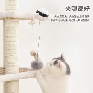 伊丽电动升降球逗猫棒养猫神器自嗨网红猫玩具自动猫咪用品