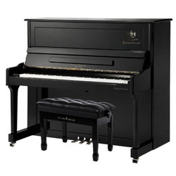WILLIAMSONBO 威廉森堡 Williamsonbo）立式钢琴 德国FFW榔头家用教学考级钢琴DW-25K 黑色