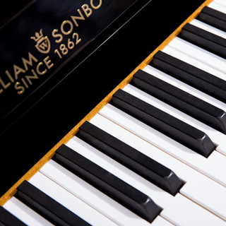 威廉森堡（Williamsonbo）立式钢琴 德国FFW榔头家用教学考级钢琴DW-25K 黑色