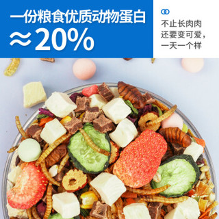 Jonsanty 宠尚天 CST123  宠尚天仓鼠粮海鲜主食主粮金丝熊粮食料食物小仓鼠饲料用品营养综合粮