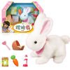 mimiworld韩国女孩过家家儿童玩具电子宠物玩具 可爱小鸡养成屋 拉比兔 松鼠 女孩玩具蜜蜜兔 白色拉比兔MW60200