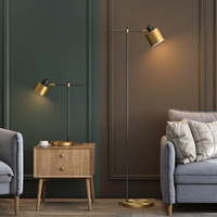 凡丁堡(FANDBO)北欧ins落地灯卧室客厅个性阅读灯美式轻奢立式台灯铁艺金属黑色475FL