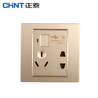 正泰（CHNT）NEW7-L13212 NEW7L开关插座/香槟金/五孔插座带USB