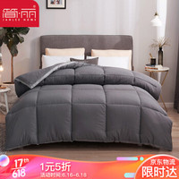 简丽（janlee）冬被被子双人床加厚学生宿舍保暖秋冬季被芯棉被2米 200*230cm 立体边