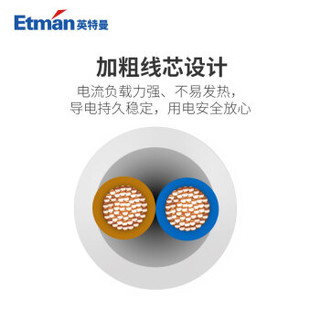 Etman 英特曼 3米 10A两芯电线插头带线多用家用工业接线铜芯电源延长线 2项脚电源延长线3M20113-7