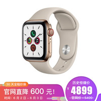 Apple Watch Series 5智能手表（GPS+蜂窝网络款 40毫米金色不锈钢表壳 岩石色运动型表带 )