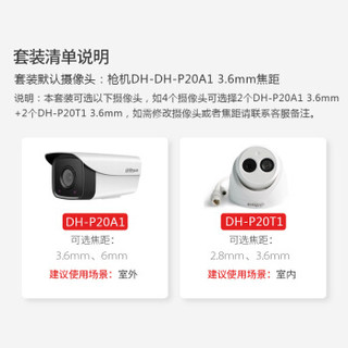 大华（Dahua）监控设备套装200万POE供电网络半球摄像头1080P高清手机监控室内室外（5路带2TB硬盘）