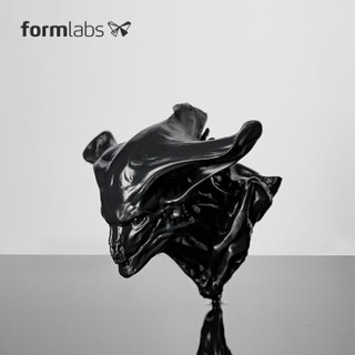 Formlabs 黑色光敏树脂 Form 2 3D打印耗材