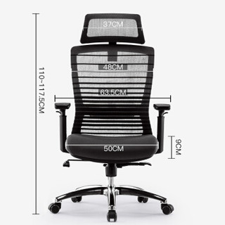 联丰（LIANFENG）电脑椅 家用办公椅子人体工学电竞休闲转椅DS-202C新