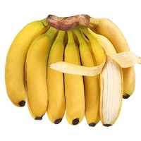 广西野生香蕉10斤新鲜水果当季苹果蕉粉蕉banana大香焦小米蕉芭蕉