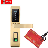 玥玛指纹密码锁 家用防盗智能锁感应卡锁电子门锁手机APP远程控制FP1012香槟金
