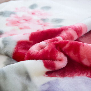 维科 毛毯家纺 加大加厚双层拉舍尔盖毯 保暖秋冬双人毯子被子盖被 约5.6斤 180*220cm 花语时光