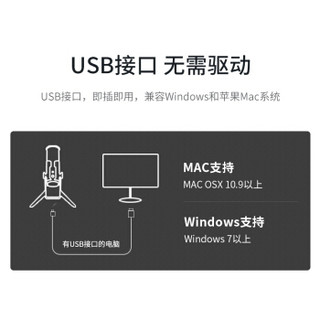 得胜（TAKSTAR）GX6 USB专业电容麦克风 电脑K歌手机游戏直播主播唱歌话筒 会议录音麦克风 黑色