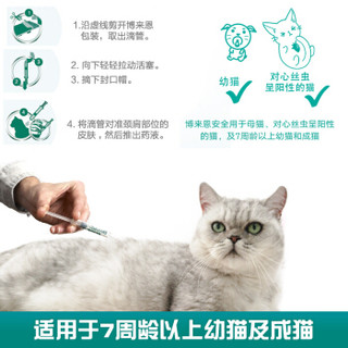 FRONTLINE 福来恩 猫用体内外驱虫药 2.5-7.5kg 整盒装