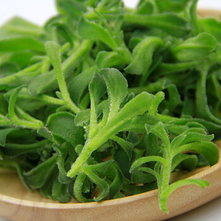 绿鲜知 冰草 冰叶野菜 约400g 沙拉菜 火锅食材 产地直供 新鲜蔬菜