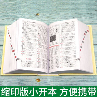 《实用古代汉语词典》缩印版