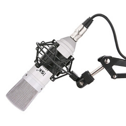 iSK 声科 AT100 免电源电容麦克风 专业喊麦主播直播设备声卡套装 网络K歌录音话筒 手机电脑台式机通用 白色