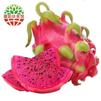 云依禾农庄 广西金都一号红心火龙果  2.5斤