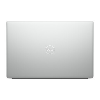 DELL 戴尔 灵越 13-7391 13.3英寸 轻薄本 银色(酷睿i5-10210U、MX250、8GB、1TB SSD、1080P、IPS、60Hz、R1625S)