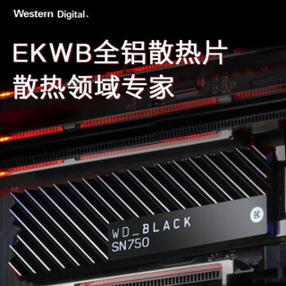 Western Digital 西部数据 Black SN750 M2 固态硬盘 500G