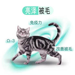 Amorlife 安美生 天然成猫粮 2.5kg