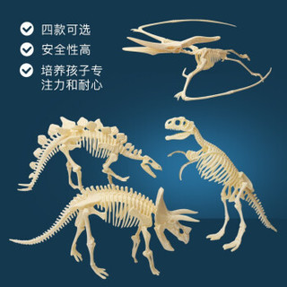儿童恐龙化石玩具模型 考古挖掘 霸王龙
