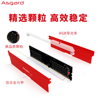 Asgard 阿斯加特 洛极系列 W2 DDR4 3000MHz 台式机内存 32GB