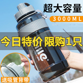 XILE 希乐 双口太空杯 1000ml 送吸管+杯刷