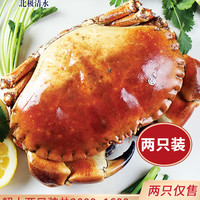 clearwater 面包蟹 超大熟冻黄金蟹 800g