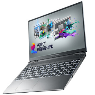 ThundeRobot 雷神 MasterBook 15.6英寸笔记本电脑（i5-9300H、8GB、512GB、GTX1050、72%色域 ）