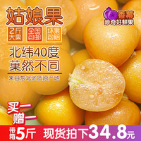 香幕 东北姑娘果/菇娘果 2斤  