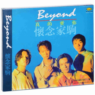 《BEYOND：真的爱你·怀念家驹》