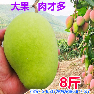 果力乐 凯特芒果 带箱4kg