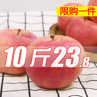 二帅 当季红富士 10斤