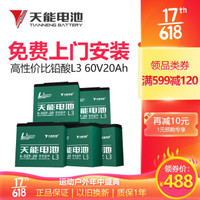 天能 铅酸60v20ah 电动车电池（5只 ）
