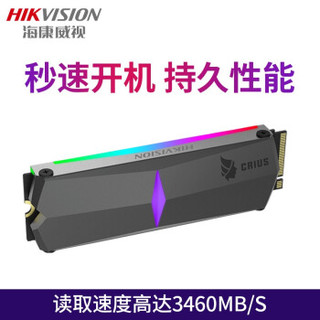 HIKVISION 海康威视 C2000R RGB M.2 NVMe 固态硬盘