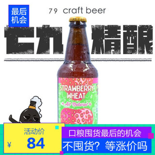 迷失海岸 草莓汁小麦啤酒 355ml