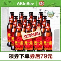  Boxing Cat/拳击猫 琥珀拉格  1x24x355ml 包装