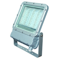 华荣（WAROM）RLEFL319-XL150 LED投光灯具 可定制