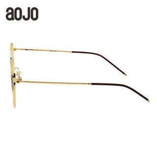 aojo近视眼镜框 潮男女复古商务金属圆框眼镜架 FACLS1002 C02