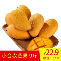 橘之恋情 芒果小台农 9斤
