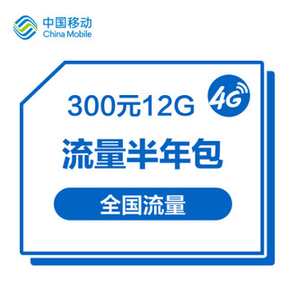 流量半年包300元-12G