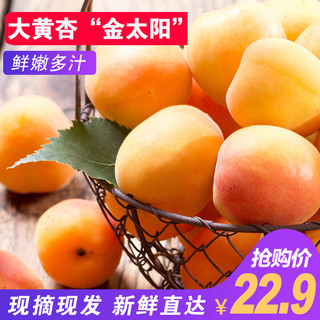 食时谷  大黄杏  5斤  
