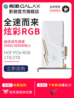 GALAPAD 影驰 HOF PCle 固态硬盘 (1TB、PCI-E)