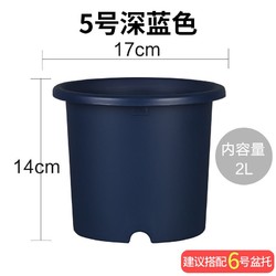 RIS 爱丽思 加仑树脂塑料花盆 5号 2L