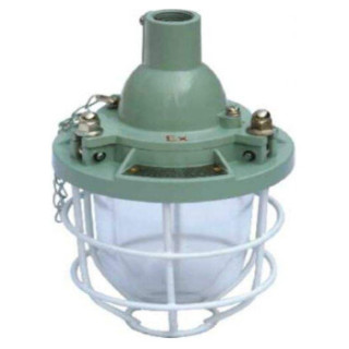 虎光 系列隔爆型防爆灯(II B)FL-BAD 白炽灯:100W