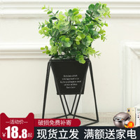 TOMBCNIGRE 托马斯威尔 创意铁艺花架 小号