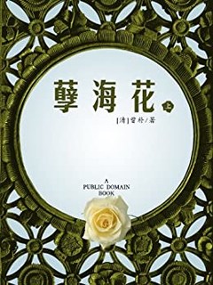  《孽海花 上》Kindle版