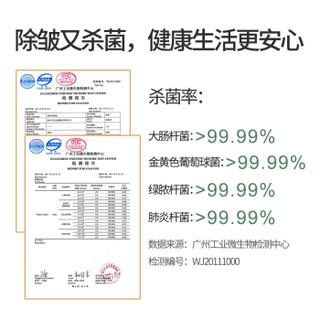 HG 华光 QY66-HDV 蒸汽挂烫机